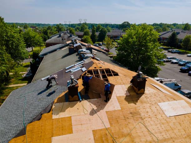 Trusted Roof Replacement service in Walnut Creek, CA - Brentwood Metal Roofing